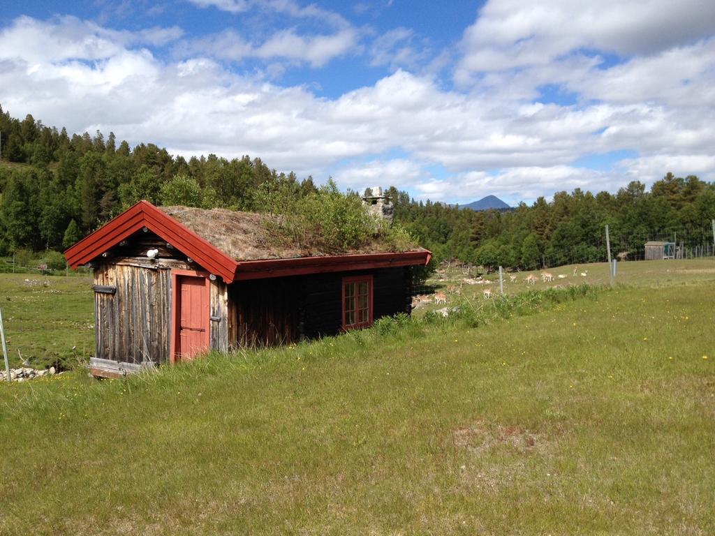 Rondane Friluftssenter Rondetunet Brenn Phòng bức ảnh